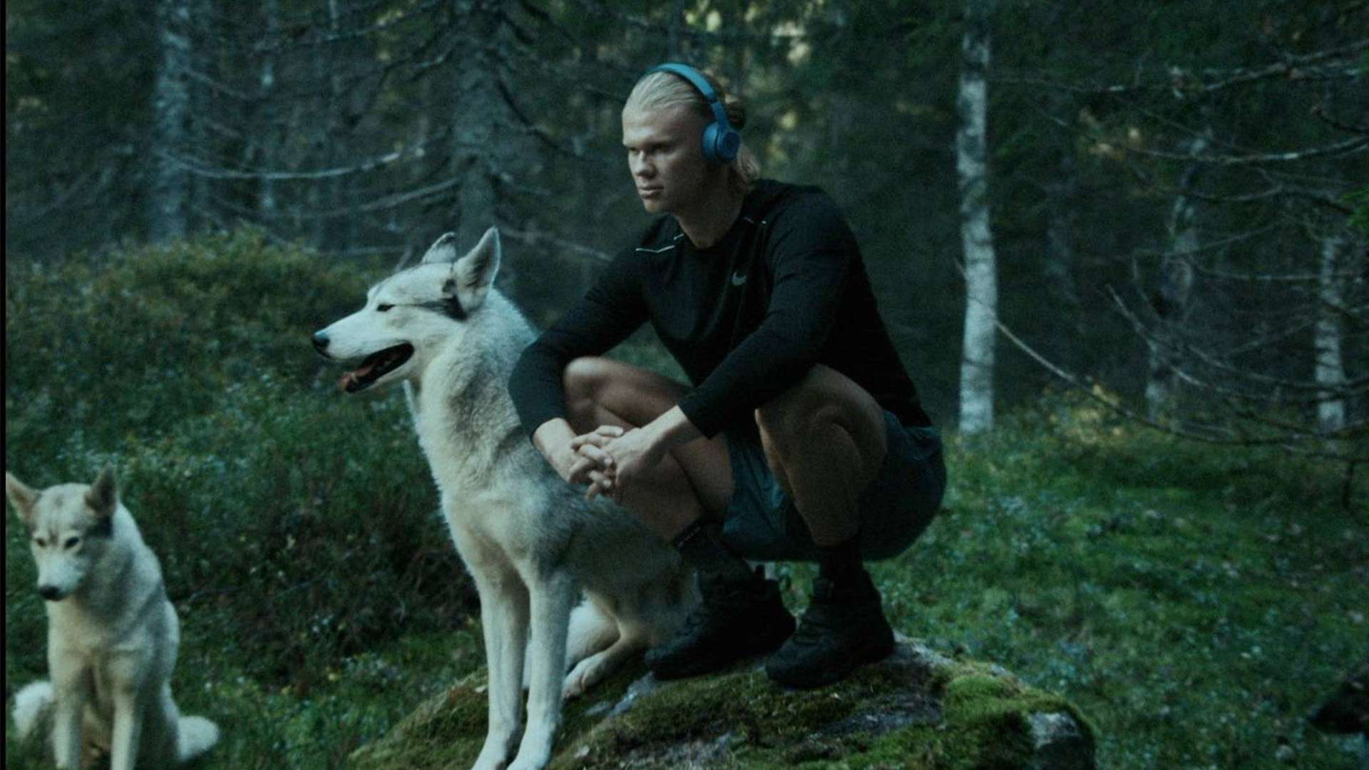 锋线实力受 锋线实力受